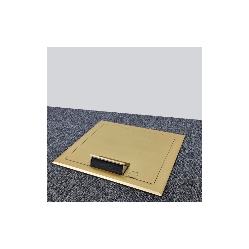 2 Power 10 Data Brass Flush Lid  Floor Outlet Box