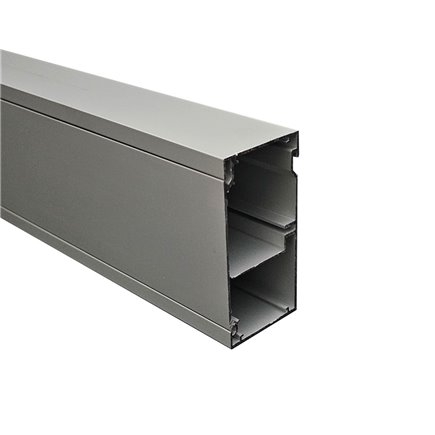 50 X 100mm X 3.0m 2 CHANNEL DROP IN LID SECTION (Natural Anodised) 