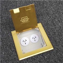 Floor Outlet Box 2 Power Brass Flush 145 Series