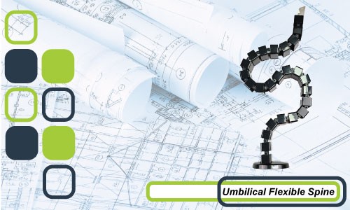 UMBILICAL FLEXIBLE SPINE